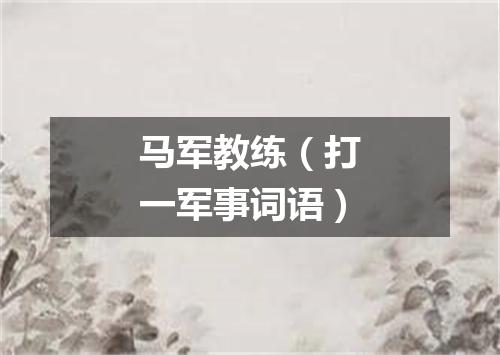 马军教练（打一军事词语）