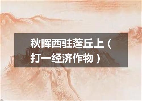 秋晖西驻蓬丘上（打一经济作物）