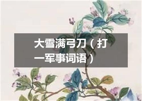 大雪满弓刀（打一军事词语）