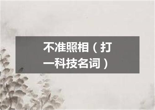 不准照相（打一科技名词）