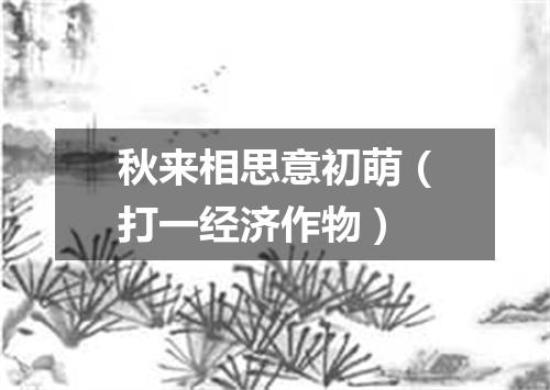 秋来相思意初萌（打一经济作物）