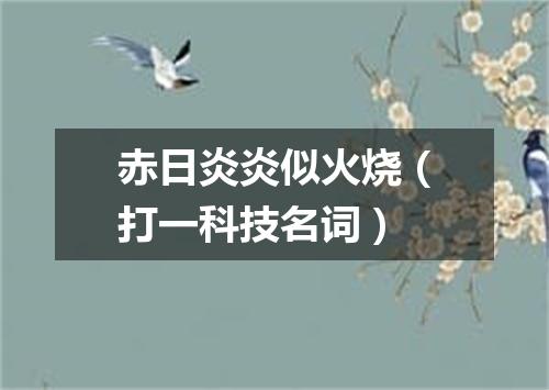 赤日炎炎似火烧（打一科技名词）