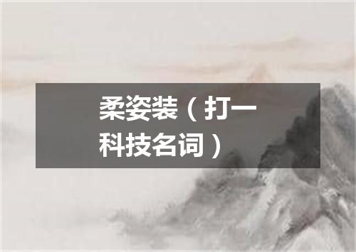 柔姿装（打一科技名词）