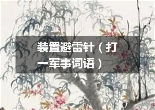 装置避雷针（打一军事词语）
