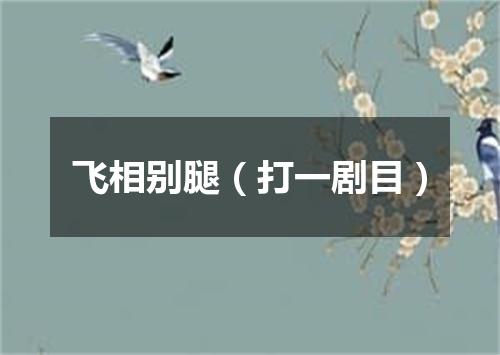 飞相别腿（打一剧目）