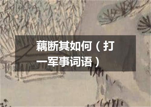 藕断其如何（打一军事词语）