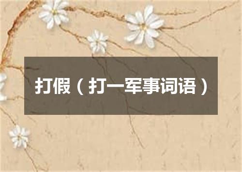 打假（打一军事词语）
