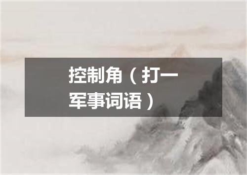 控制角（打一军事词语）