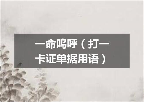 一命呜呼（打一卡证单据用语）