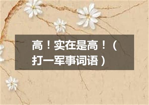 高！实在是高！（打一军事词语）