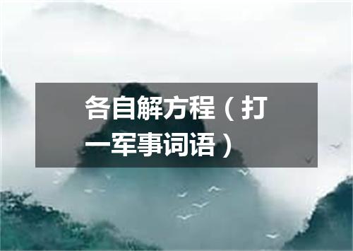 各自解方程（打一军事词语）
