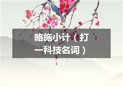 略施小计（打一科技名词）