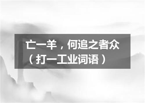 亡一羊，何追之者众（打一工业词语）