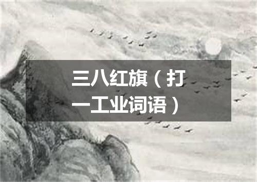 三八红旗（打一工业词语）