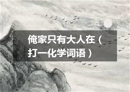 俺家只有大人在（打一化学词语）