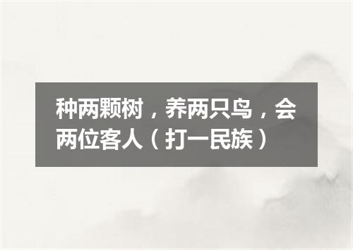 种两颗树，养两只鸟，会两位客人（打一民族）