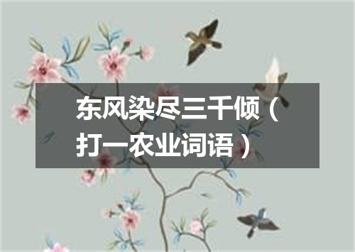 东风染尽三千倾（打一农业词语）