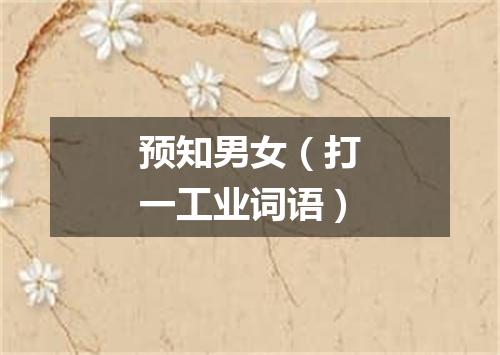 预知男女（打一工业词语）