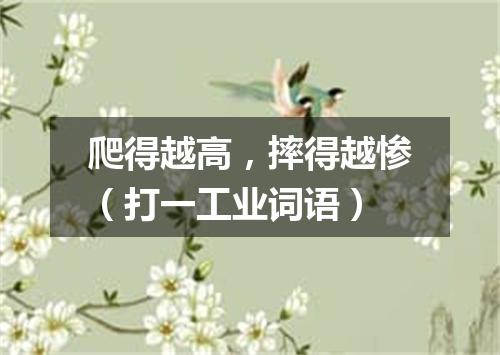 爬得越高，摔得越惨（打一工业词语）