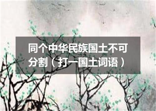 同个中华民族国土不可分割（打一国土词语）