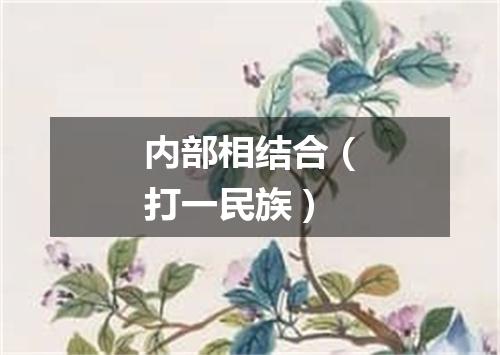 内部相结合（打一民族）