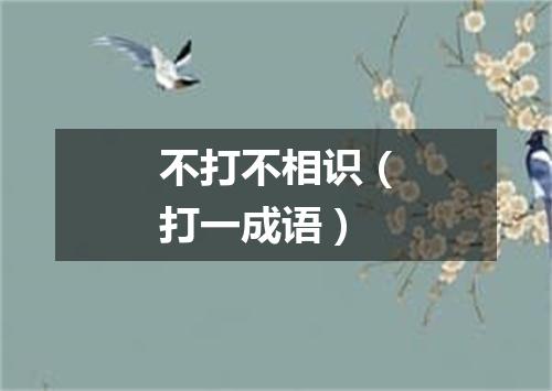 不打不相识（打一成语）