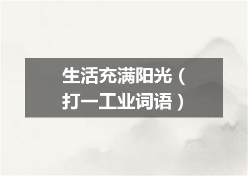 生活充满阳光（打一工业词语）