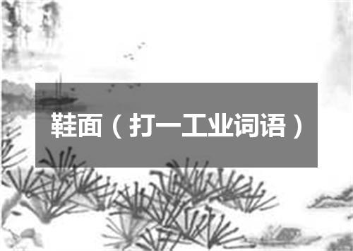 鞋面（打一工业词语）