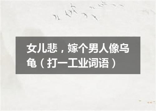 女儿悲，嫁个男人像乌龟（打一工业词语）