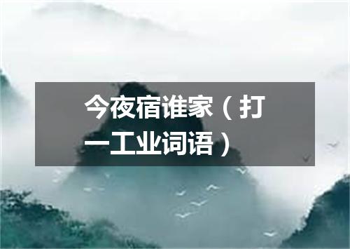 今夜宿谁家（打一工业词语）