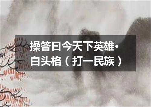 操答曰今天下英雄·白头格（打一民族）