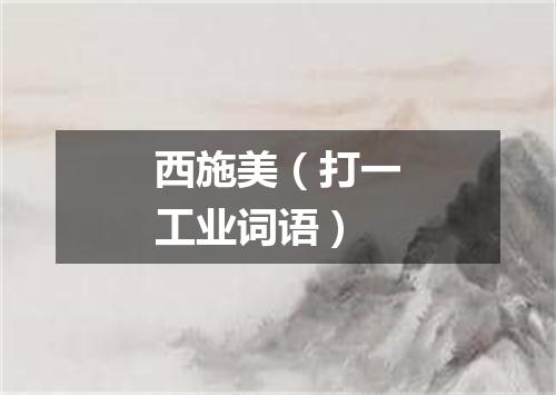 西施美（打一工业词语）