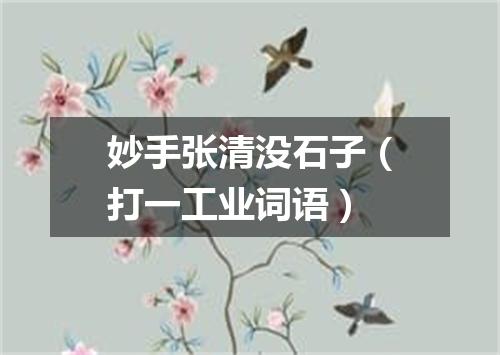 妙手张清没石子（打一工业词语）