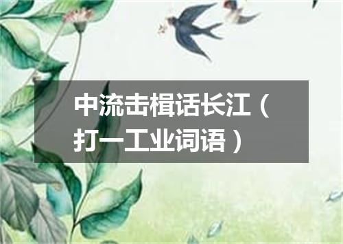 中流击楫话长江（打一工业词语）