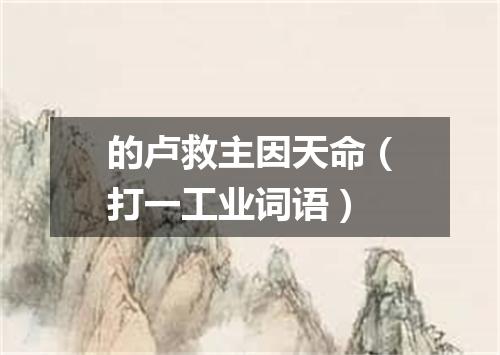 的卢救主因天命（打一工业词语）