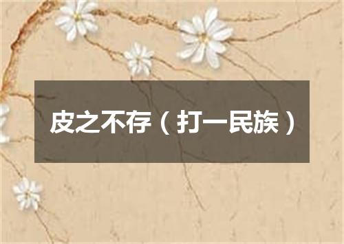 皮之不存（打一民族）
