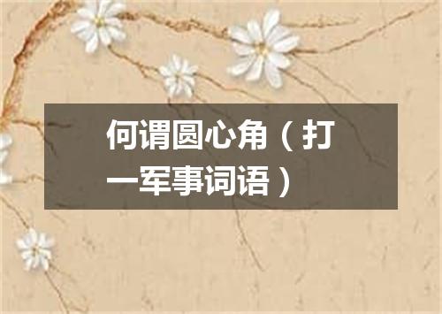何谓圆心角（打一军事词语）