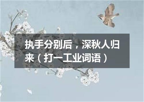 执手分别后，深秋人归来（打一工业词语）