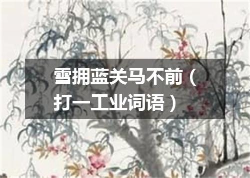 雪拥蓝关马不前（打一工业词语）
