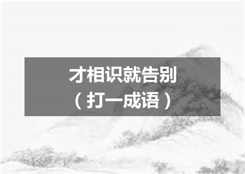 才相识就告别（打一成语）