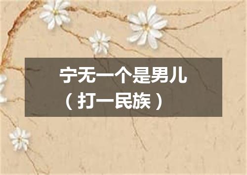 宁无一个是男儿（打一民族）