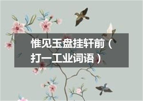 惟见玉盘挂轩前（打一工业词语）