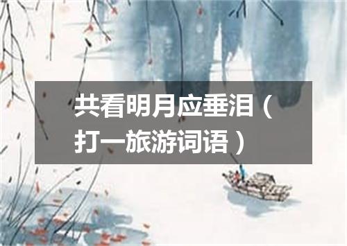 共看明月应垂泪（打一旅游词语）