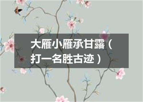 大雁小雁承甘露（打一名胜古迹）