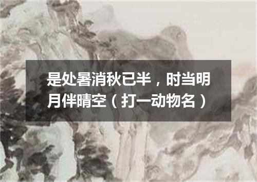 是处暑消秋已半，时当明月伴晴空（打一动物名）