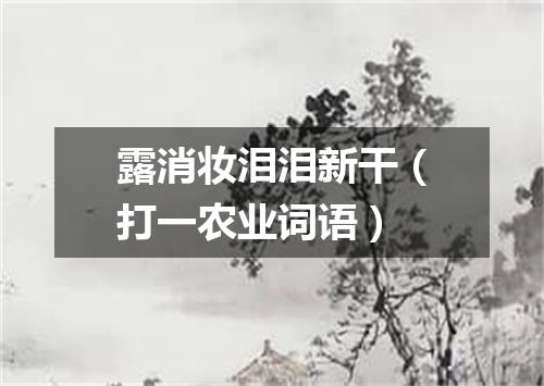 露消妆泪泪新干（打一农业词语）