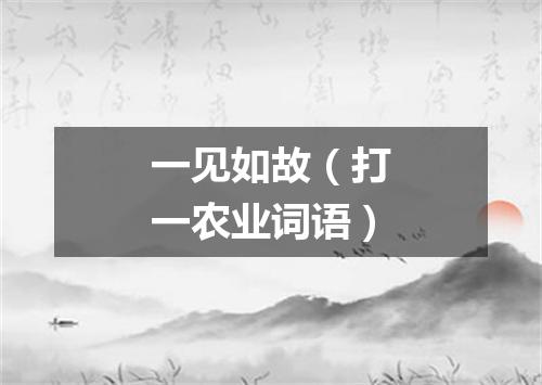 一见如故（打一农业词语）