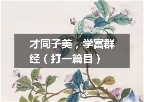 才同子美，学富群经（打一篇目）