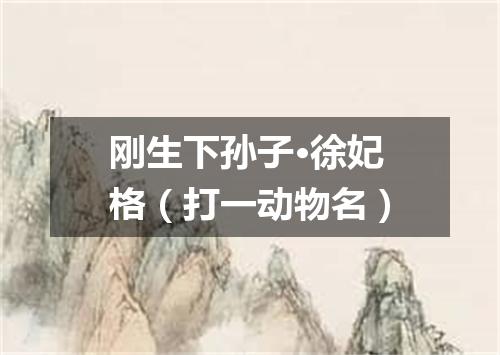 刚生下孙子·徐妃格（打一动物名）
