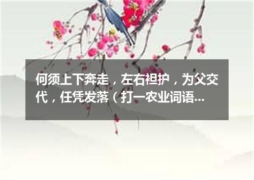 何须上下奔走，左右袒护，为父交代，任凭发落（打一农业词语）